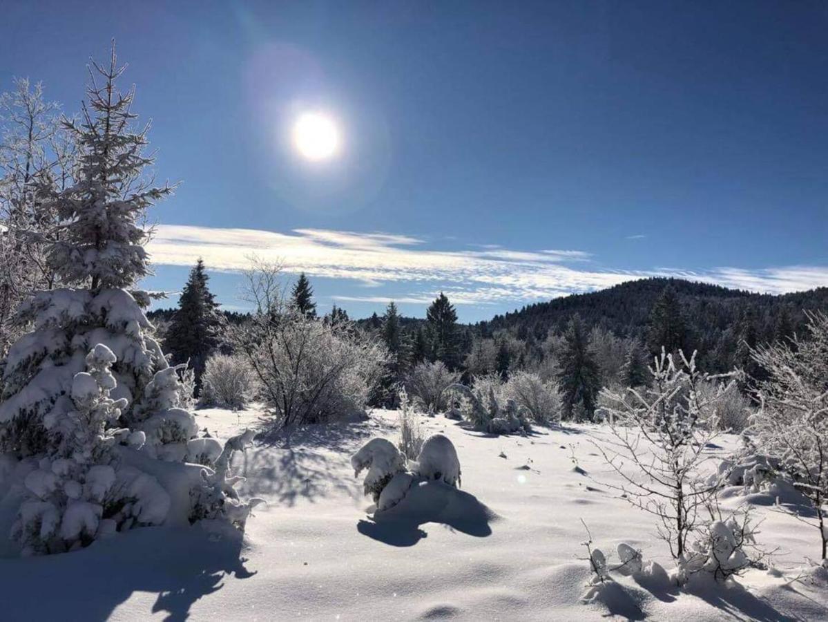 Dren Chalet Lux - Banjska Stena Perucac Εξωτερικό φωτογραφία